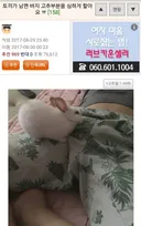 토끼가 자꾸 남편 꼬츄부분을 핥아서 고민입니다 . JPG