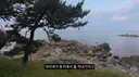 난 우리나라 야생동물로 수리부엉이가 늘었으면 해