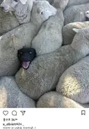 아저씨 저 내려요