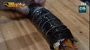 부산에 있다는 비빔 김밥