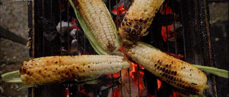 멕시코 마약옥수수