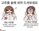 토끼조선) 소주에 고추를 넣어 먹으면 안되는 이유