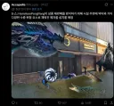 림버스) 햄햄팡팡 상품 재판매 방지를 위해 준비했습니다!