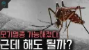 모기는 멸종시켜야 한다 VS 생태계 교란이 일어나서 반대