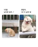 올해 대충 보낸 사람들 상황