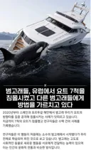 요즘 범고래들 놀이 트렌드 근황