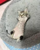 결혼할 때가 된거같다..