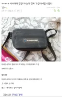순혈 디씨인