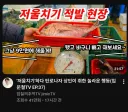 한문철 만큼이나 콘텐츠 무한 복제 되는 유튜버