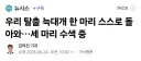 우리 탈출 늑대개 한 마리 스스로 돌아와…세 마리 수색 중