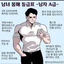 남녀 몸매 등급표 A~D