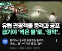 유럽 썩은물 최신 근황