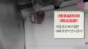 햄 슬라이서의 비밀