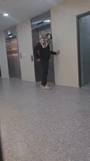 슬슬 한국에도 보이는 미국 특산물
