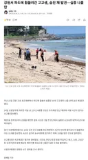강원서 파도에 휩쓸려간 고교생, 숨진 채 발견