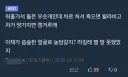 헷갈리기 쉬운 캥거루와 왈라비 구분법!!