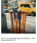 미국에서 쓰레기통 훔친 돼지년의 최후.jpg