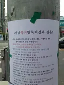 탈북여성과 결혼할 경우 장단점
