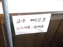 고추빠실분 구함