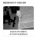 홈캠 돌려보다 식겁