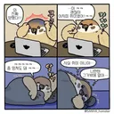 괜찮아 어차피 취미였어 ㅋㅋ