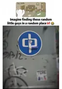 메챠 카멜레온 근황