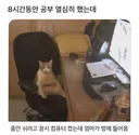 8시간동안 공부 열심히 했는데
