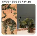 옛 조상님의 엄청난 관찰 표현력