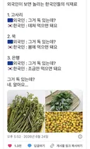 외국인 그거 독 있는데 한국인