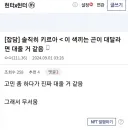 헌헌 독자중 아무도 부정못하는 사실