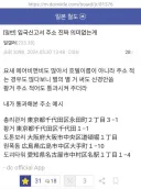 입국 신고서 주소가 의미 없다는 디씨인