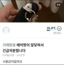 공포) 당근 해병팟 사건