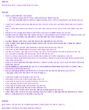 6월 25일(목) 06:00~ 07:30 로스트아크 임시 점검 안내