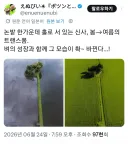 논밭 한가운데 지은 일본의 신사.jpg