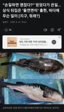 랜덤 가챠 돌연변이 복어 출현!!