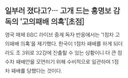 영국에서 제기한 음모론