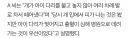 초등생 공격하는 개 떼어내다가 400만원 청구받은 여성
