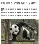 동물 중에 장사를 젤 잘하는 동물은?