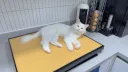 우리집 고양이 보고갈래?