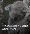 응원하는 야구팀 감독도 밤티 같은데 축구도 이러니까...