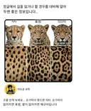 정글에서 길을 잃었을 때 유용한 정보...