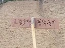 내 땅에 남이 무단으로 농사 지으면 무조건 막아야 하는 이유.jpg