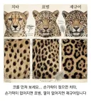 준비물 하나로 알수 있는 정글에서의 꿀팁