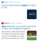 홍명보 32강 코인 또 떡락 50퍼센트대