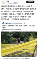 러브 버그를 방역해야 하는 이유