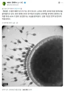 난자에 먼저 도착한다고 수정되는 게 아니다