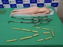 일본에서 잡힌 금밀수범