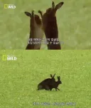 야한책에서 싸우는 애들 특
