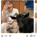 어떤 유튜버가 올린 4장의 사진