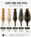 고양이 체형 상태 가이드